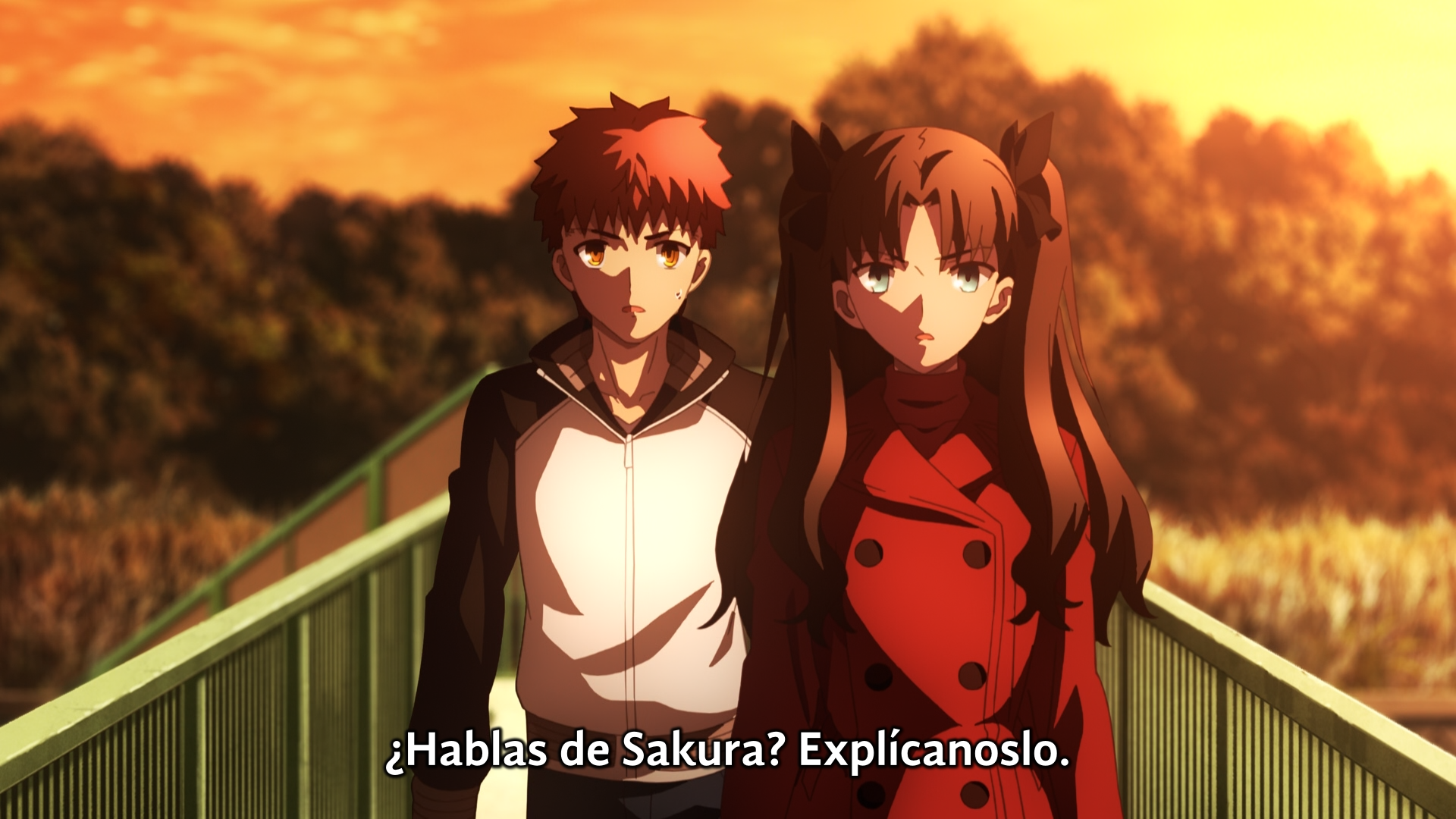 Fate/stay night Movie: Heaven's Feel - III. Spring Song (XMX)